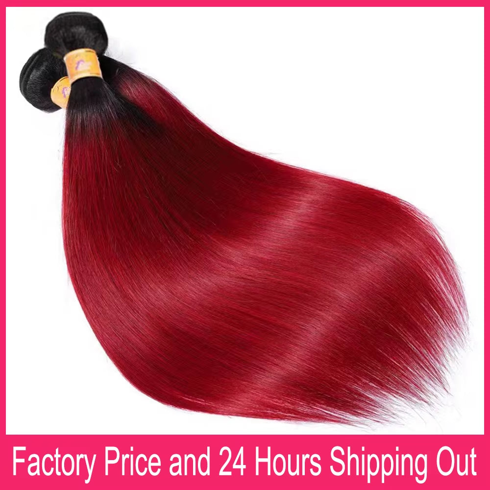 28" Ombre Burgundy Straight Human Hair Bundles - 1/3 PCS, Soft & Silky, Factory Price