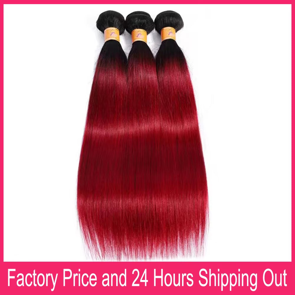 28" Ombre Burgundy Straight Human Hair Bundles - 1/3 PCS, Soft & Silky, Factory Price